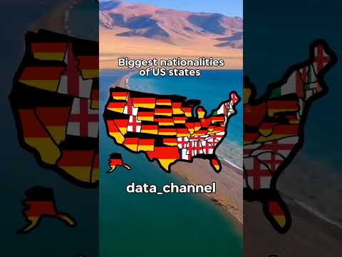 Biggest nationalities of US states #viral #mapping #map #us #states #usa #shorts