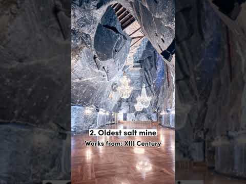 Interesting facts about Poland 🇵🇱 #poland #facts #fact # #polska #viral #shorts