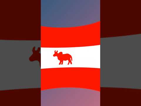 Historical flags of Madagascar🇲🇬