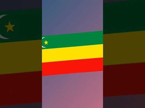 Historical flags of Kazakhstan🇰🇿