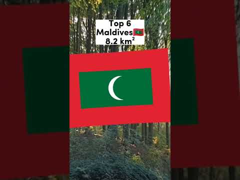 Top 6 least forested countries in the world🗺️