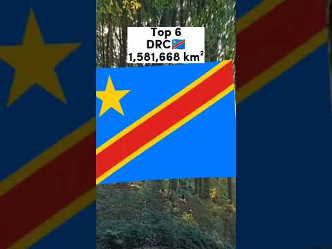 Top 6 most forested by km&sup2; countries in the world🗺️